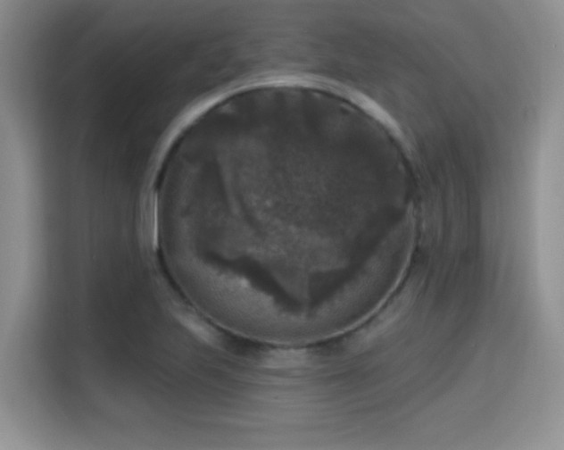 X0000115671223200911191019