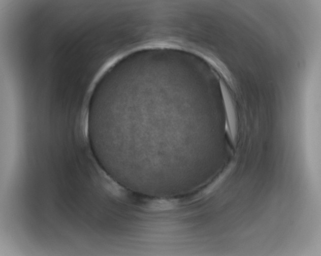 X0000115671224200911191019