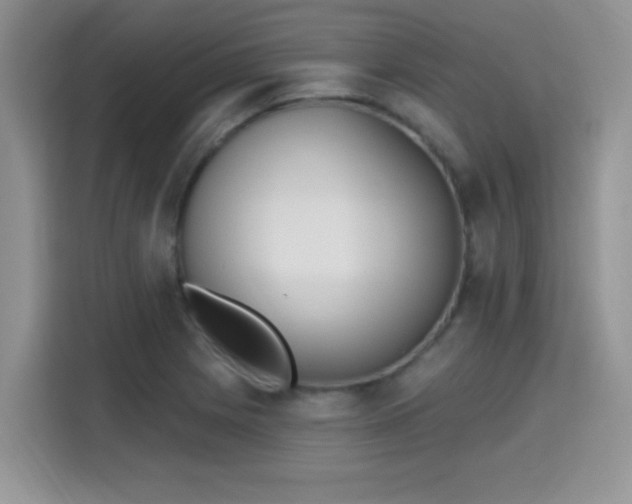 X0000115671225200911191019
