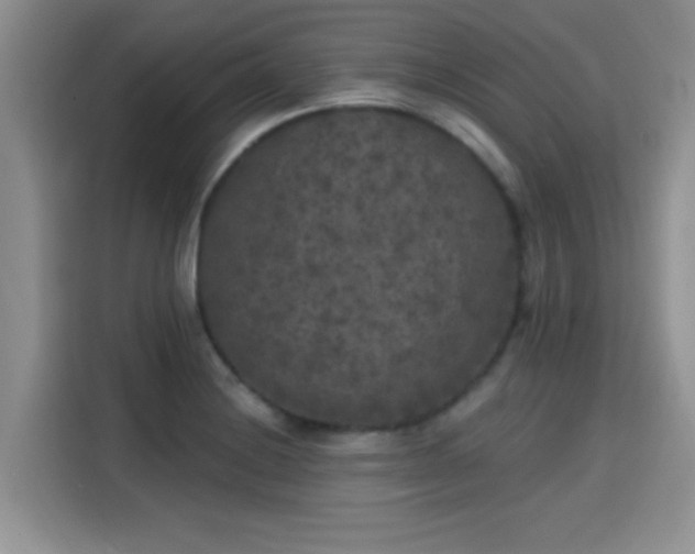 X0000115671228200911191019