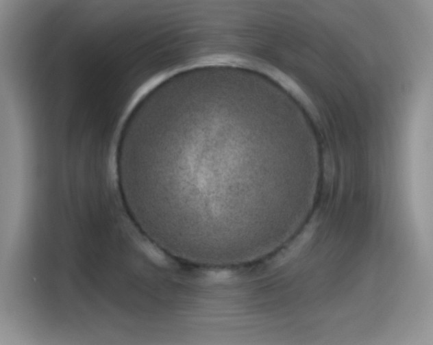 X0000115671230200911191019