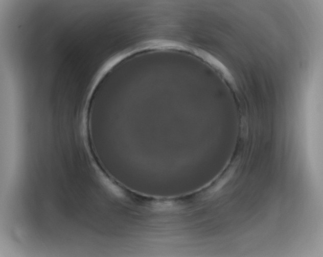 X0000115671231200911191019
