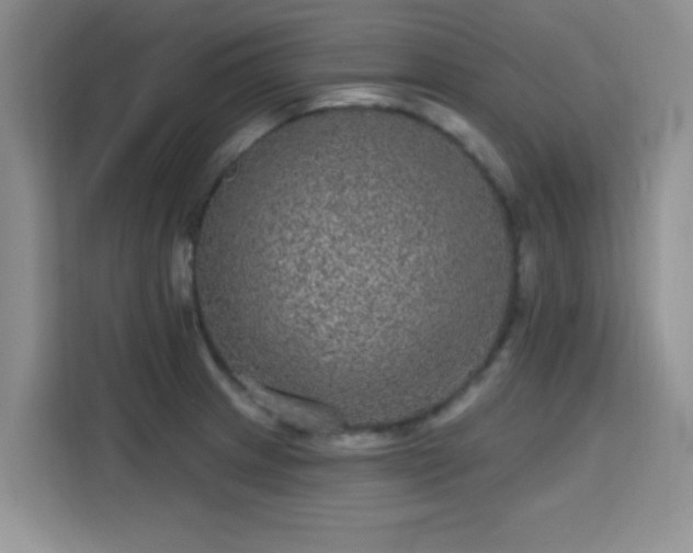 X0000115671233200911191019