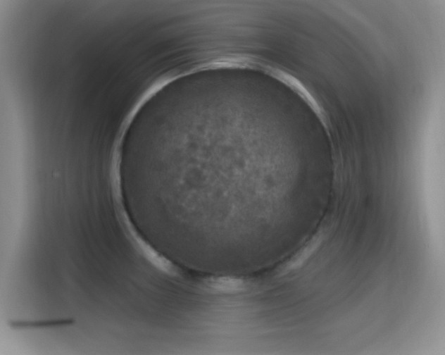 X0000115671235200911191019