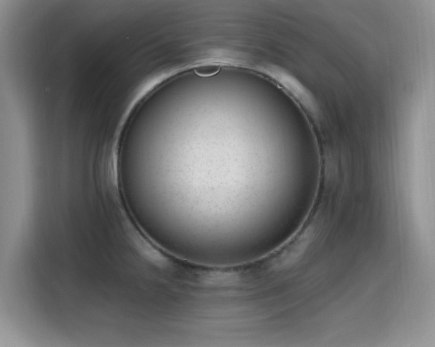X0000115671238200911191019
