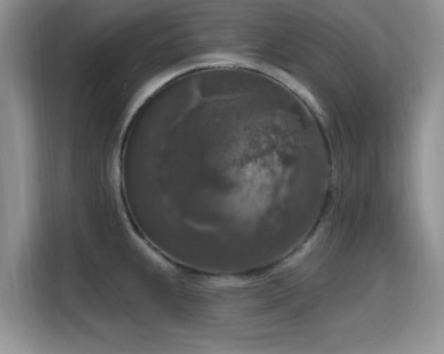 X0000115671239200911191019