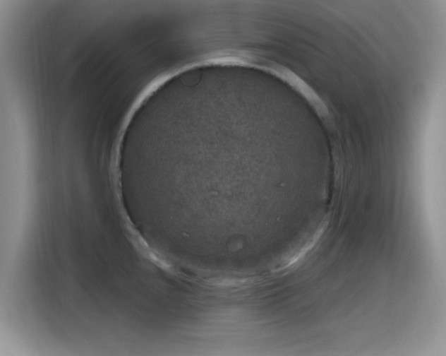X0000115671240200911191019