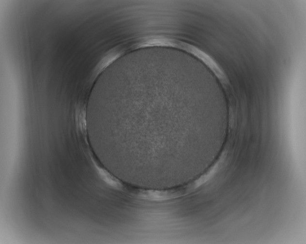 X0000115671241200911191019