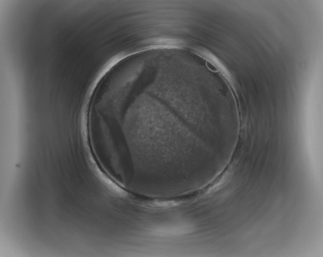 X0000115671243200911191019