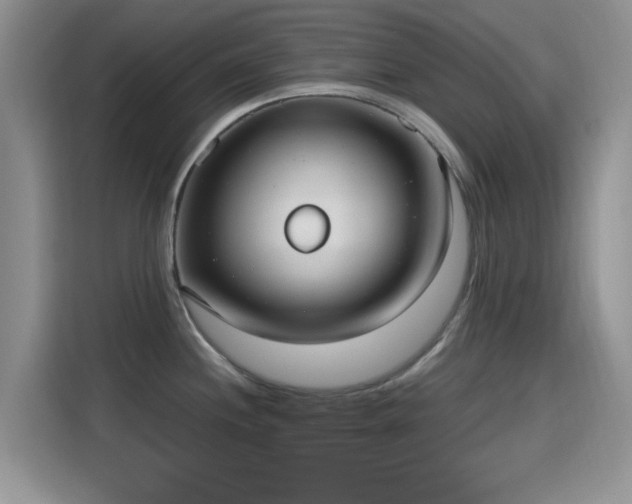 X0000115671244200911191019