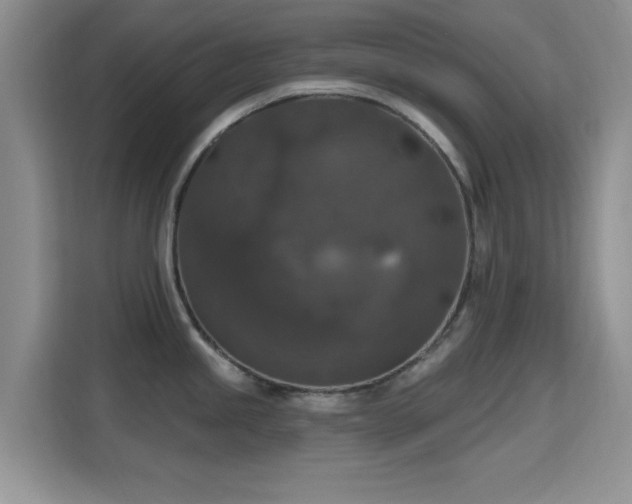 X0000115671245200911191019