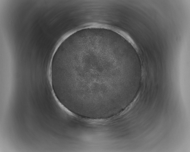 X0000115671247200911191019