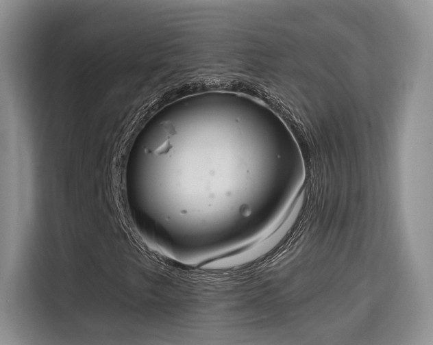X0000115671249200911191018