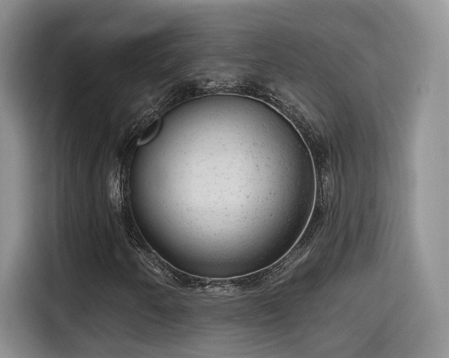 X0000115671250200911191018