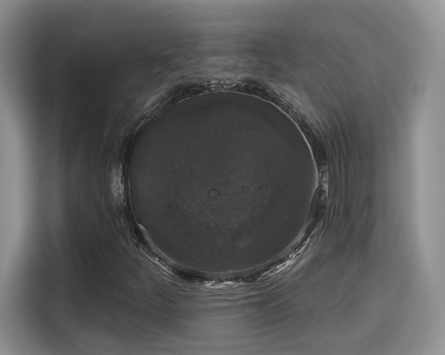 X0000115671252200911191018