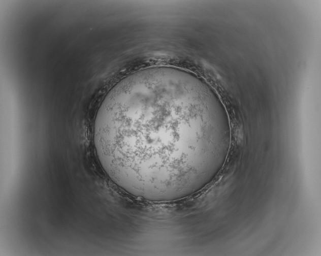 X0000115671253200911191018
