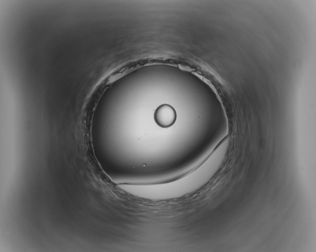 X0000115671256200911191018