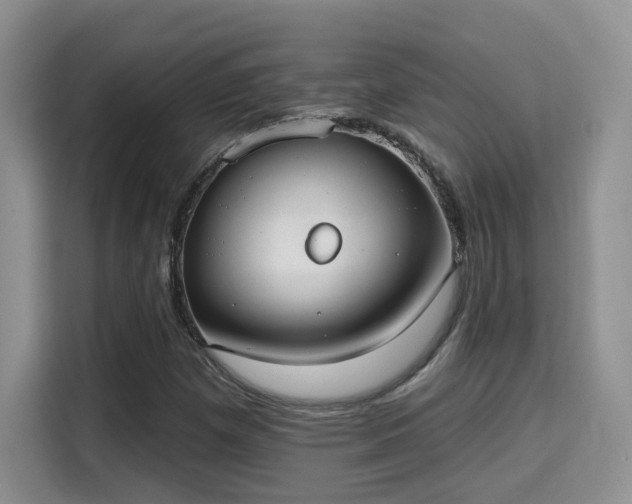X0000115671257200911191018