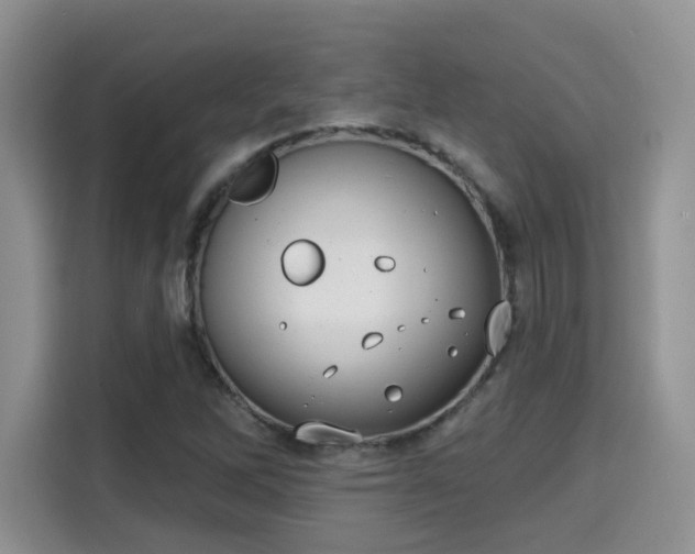 X0000115671262200911191018