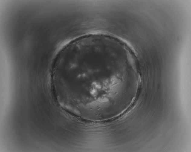 X0000115671263200911191018