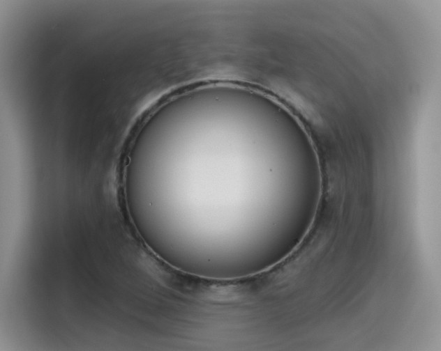 X0000115671264200911191018
