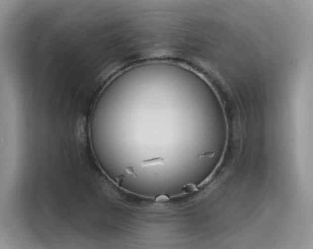 X0000115671265200911191018