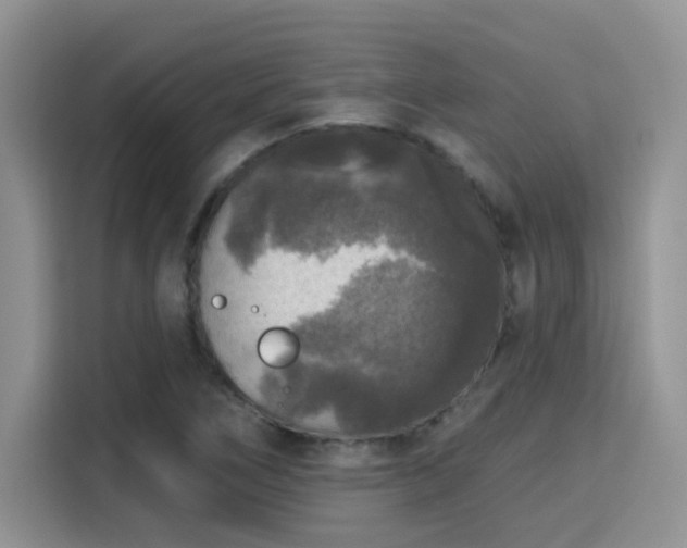 X0000115671266200911191018