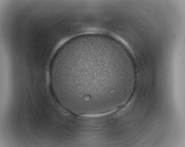 X0000115671267200911191018