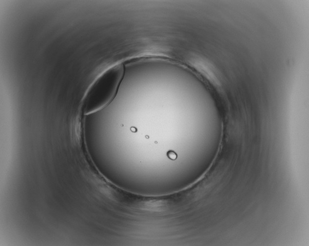 X0000115671268200911191018