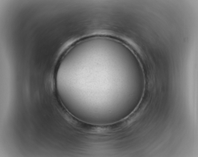 X0000115671271200911191018