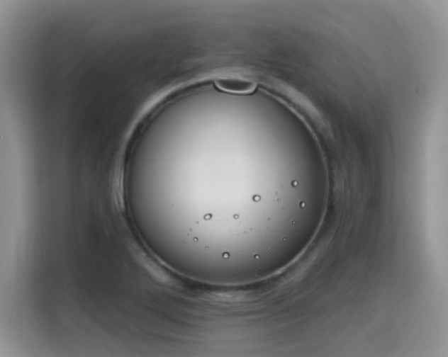 X0000115671272200911191018