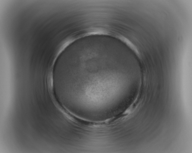 X0000115671274200911191018