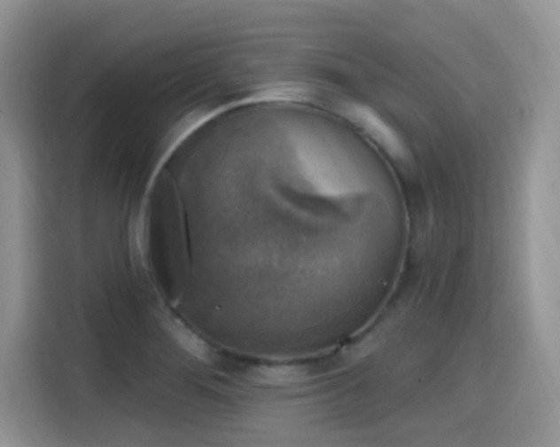 X0000115671276200911191018
