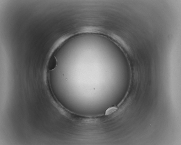 X0000115671277200911191018
