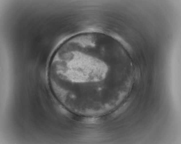 X0000115671278200911191018