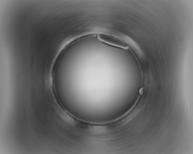 X0000115671280200911191018