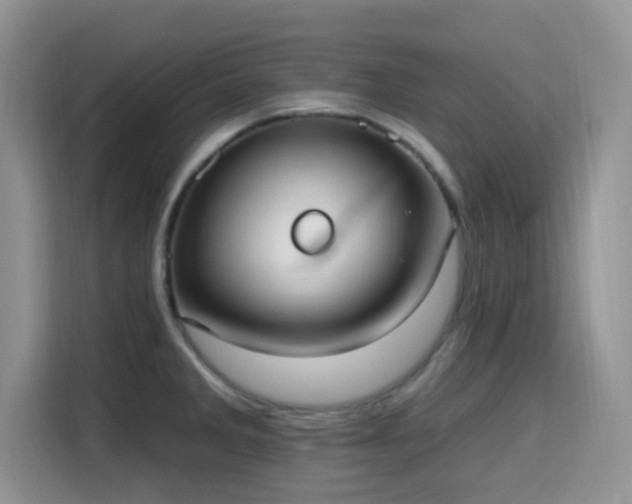X0000115671285200911191018