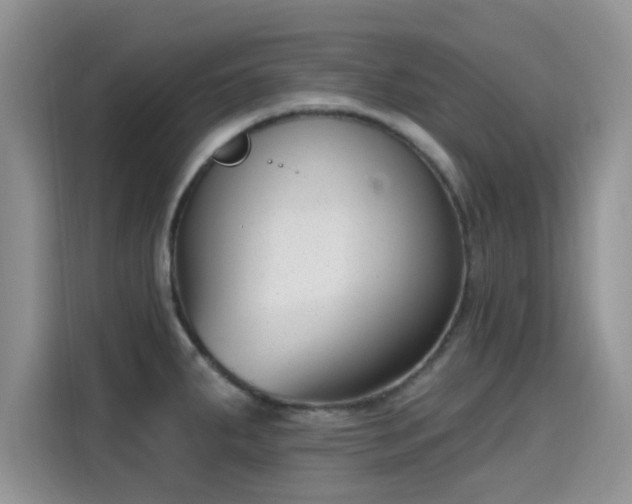 X0000115671287200911191018