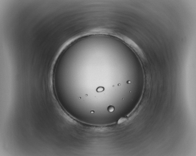 X0000115671288200911191018