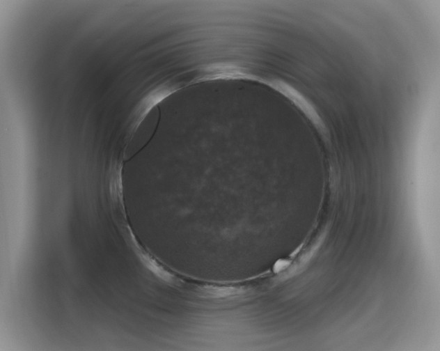 X0000115671289200911191018