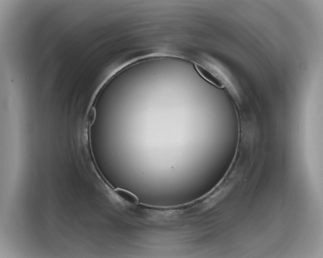 X0000115671292200911191018