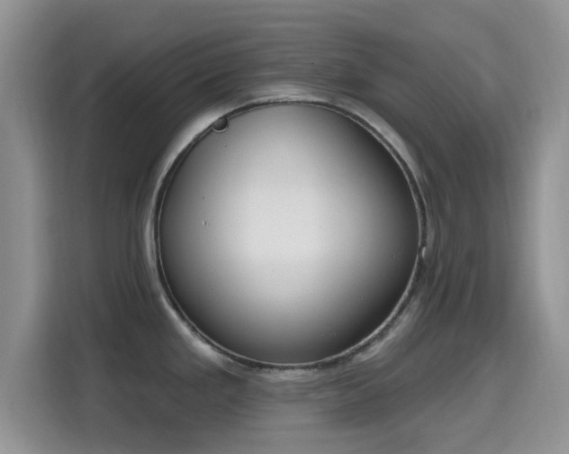 X0000115671293200911191018