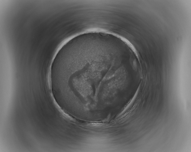 X0000115671295200911191018