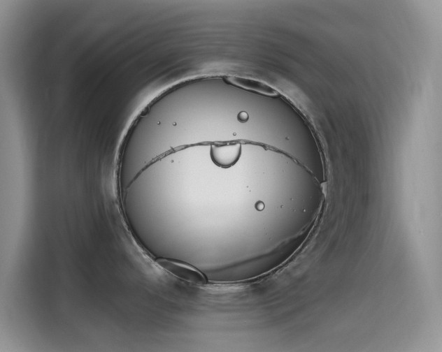 X0000115671296200911191018