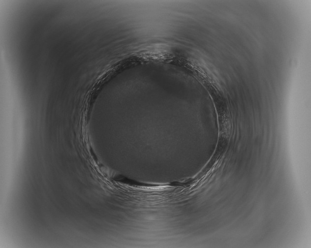 X0000115671297200911191017