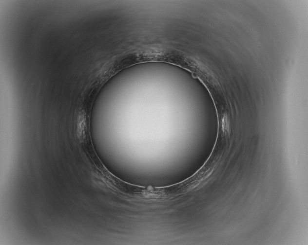 X0000115671299200911191017