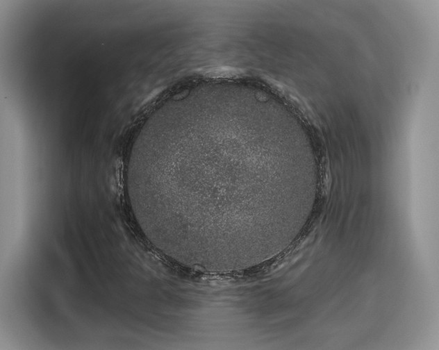 X0000115671301200911191017