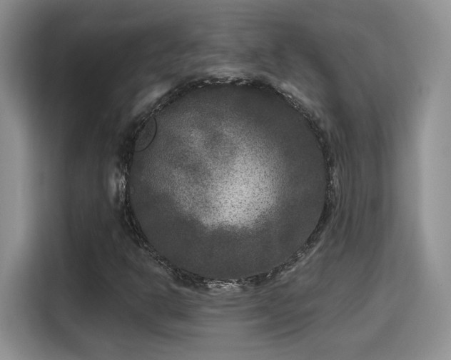 X0000115671302200911191017