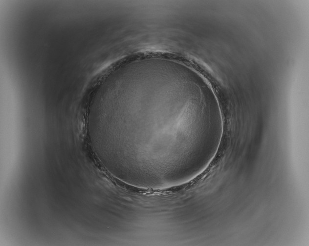 X0000115671303200911191017