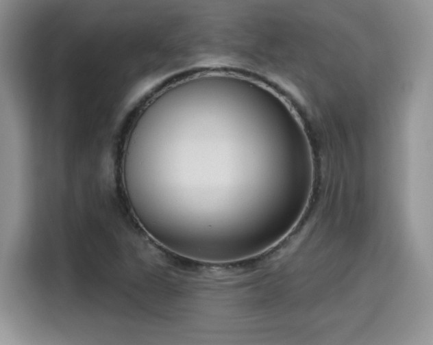 X0000115671311200911191017